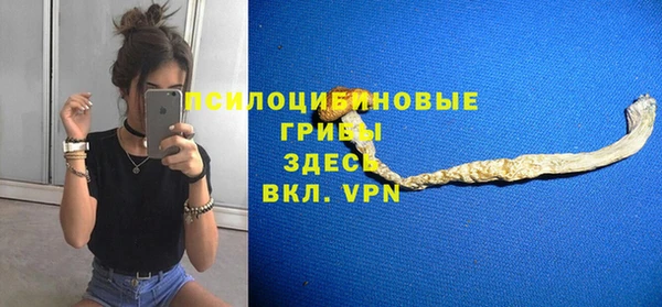 дживик Тайга