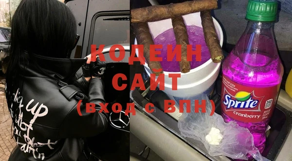 дживик Тайга