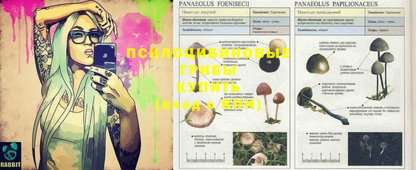 мяу мяу кристалл Горняк