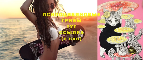 спиды Горно-Алтайск