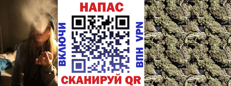 Купить где  Красный Кут  Бошки марихуана конопля 